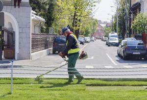 Svolgere i lavori a impatto sociale (LIS)